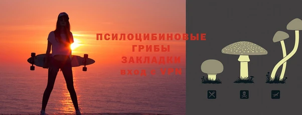 Альфа ПВП Володарск