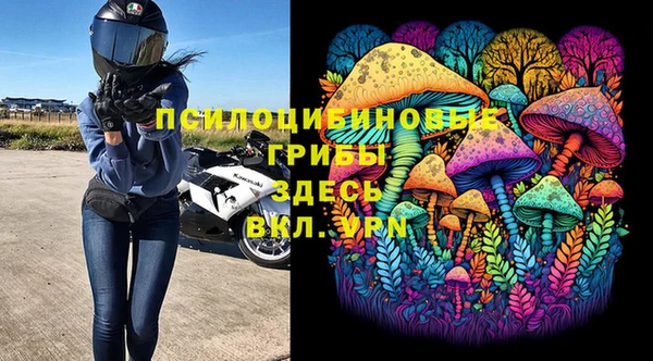 Альфа ПВП Володарск
