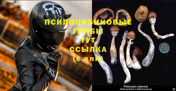 Альфа ПВП Володарск