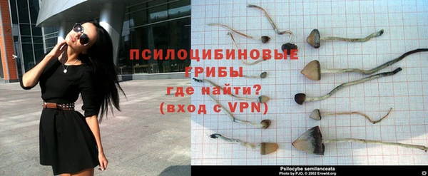 эйфоретик Волоколамск