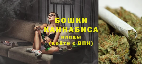 Альфа ПВП Володарск