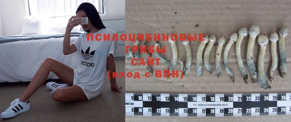 эйфоретик Волоколамск
