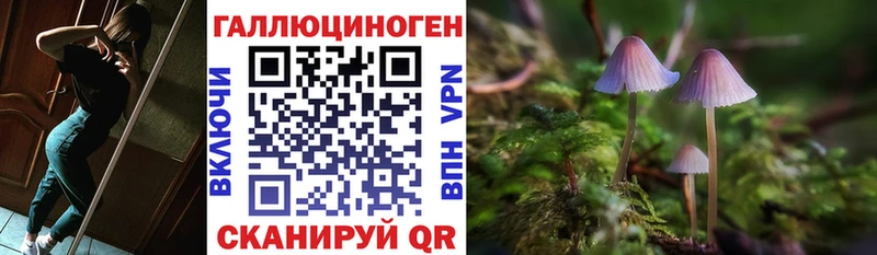 Псилоцибиновые грибы Psilocybine cubensis Ишимбай